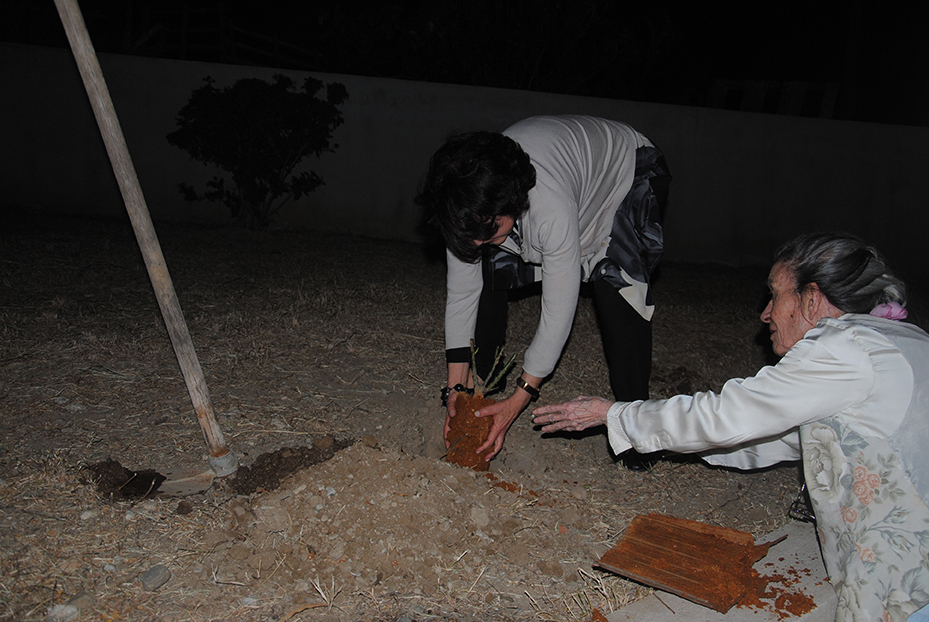 rosateca associazione eureka 2