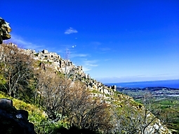 IMG_20200202_103449-EFFECTS